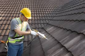 Best Roof Maintenance and Cleaning  in Essex, IL